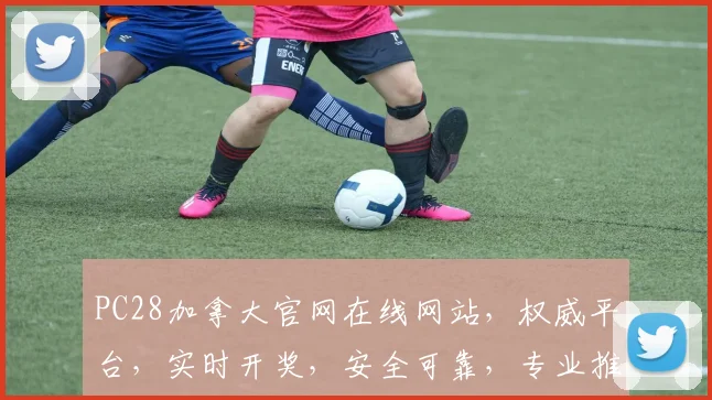 PC28加拿大官网在线网站，权威平台，实时开奖，安全可靠，专业推荐，必看攻略