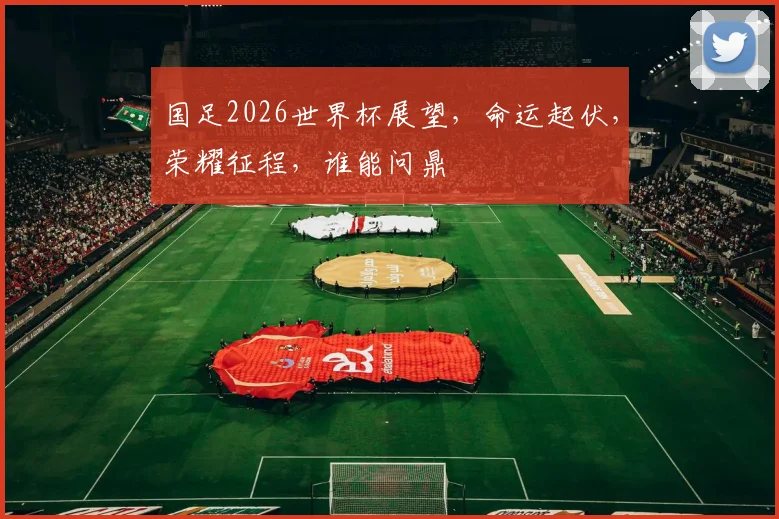 国足2026世界杯展望，命运起伏，荣耀征程，谁能问鼎