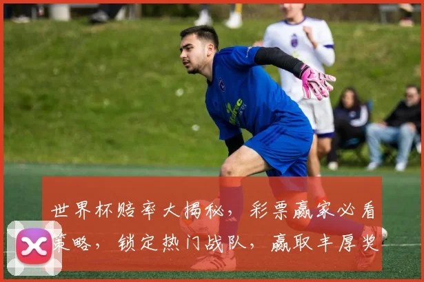 世界杯赔率大揭秘，彩票赢家必看策略，锁定热门战队，赢取丰厚奖金